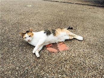 《超越善恶》20周年纪念版6＆25推出 登陆各大平台